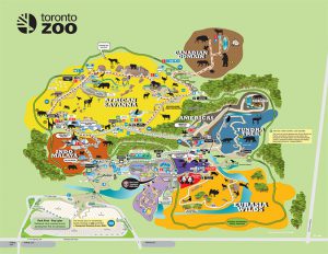 zoo1