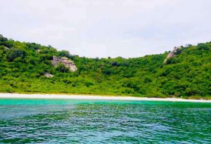 جزیره کوفای پاتایا تایلند