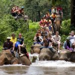 فیل سواری پوکت تایلند