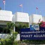 آكواريوم پوكت تایلند