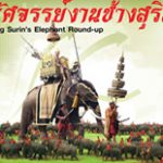 جشنواره فیل تایلند