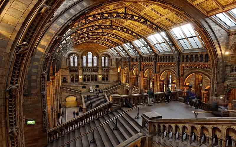 مزایای موزه تاریخ طبیعی لندن