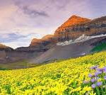 دره های زیبای ارمنستان