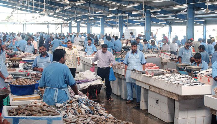 بازار ماهی دبی