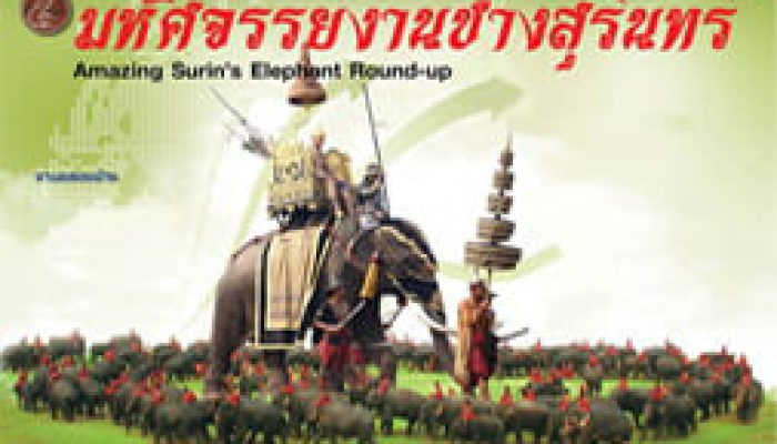 جشنواره فیل تایلند