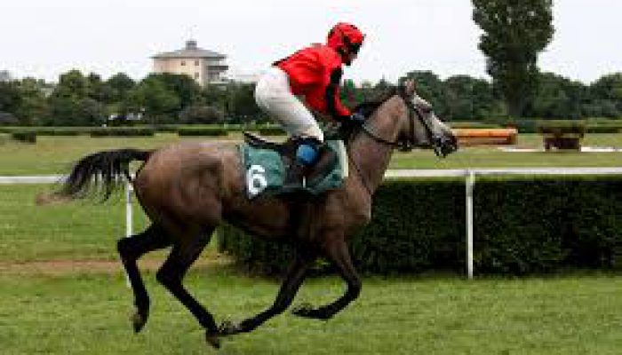 اسب سواری بی زین در ایتالیا