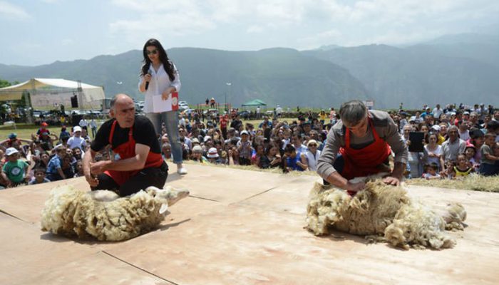 جشنواره های جالب و خاص ارمنستان